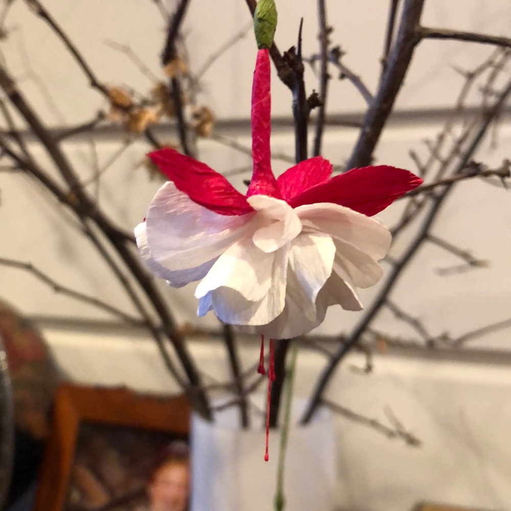 Meet your Posher, B